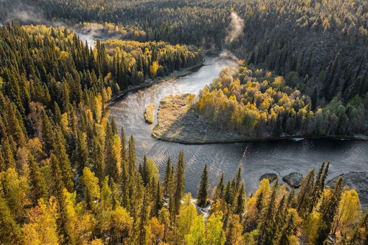 Parc national Oulanka en Finlande