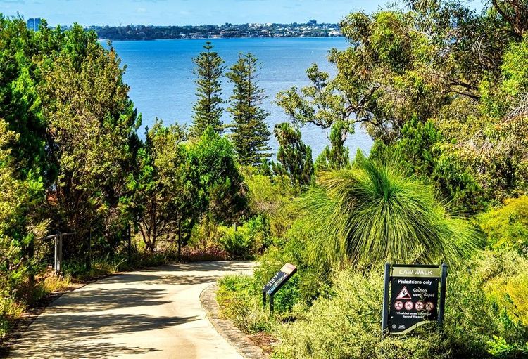Sente qui traverse le Jardin Botanique de Perth, dans Kings Park