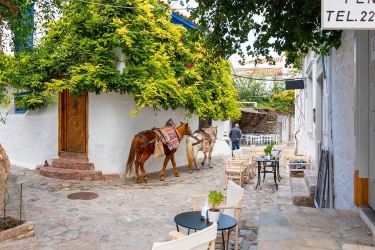 Le pavage des ruelles d'Hydra est adapté aux ânes et chevaux de l'île