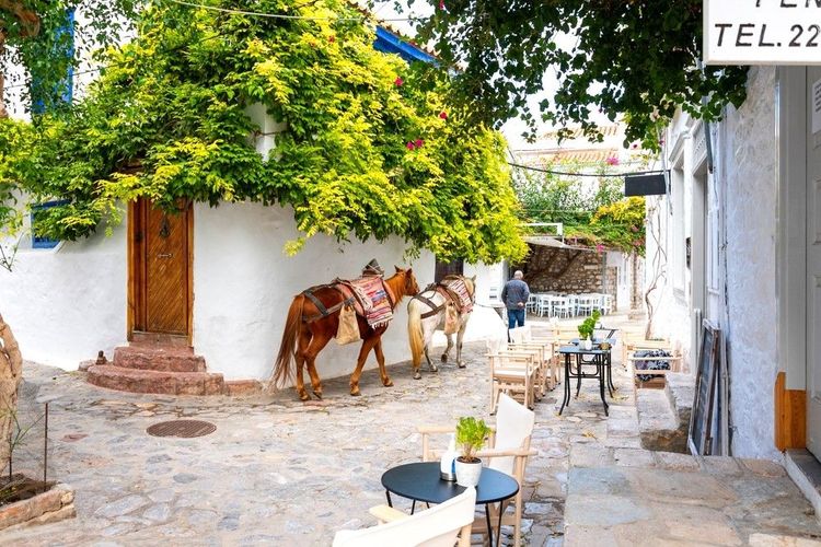 Hydra, une île sans voiture