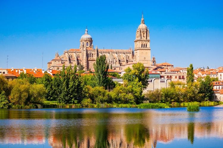 La cathédrale de Salamanque