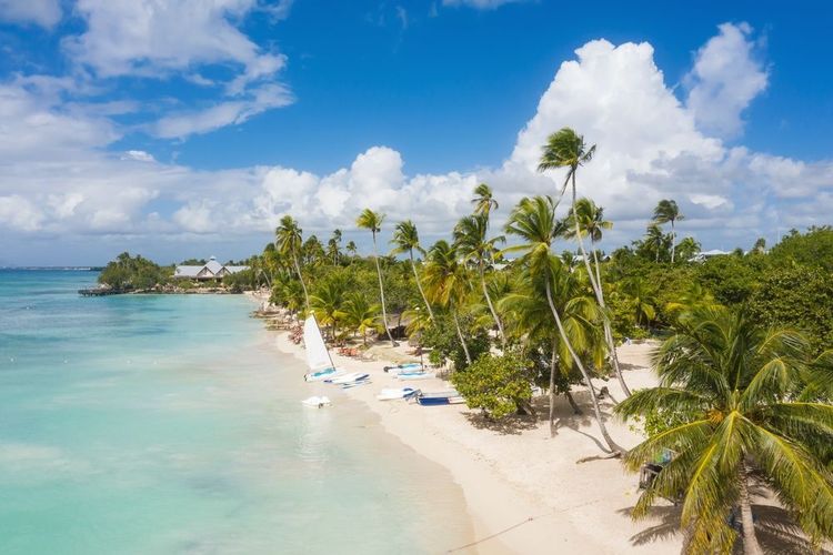 La plage du Dominicus à Bayahibe.