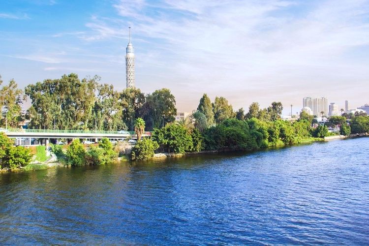 La rive verdoyante de l'île de Zamalek