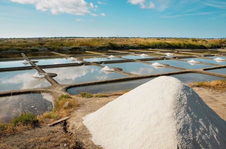 Marais salants de Guérande, Loire-Atlantique
