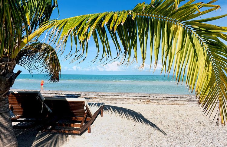 Le lagon vu depuis Holbox