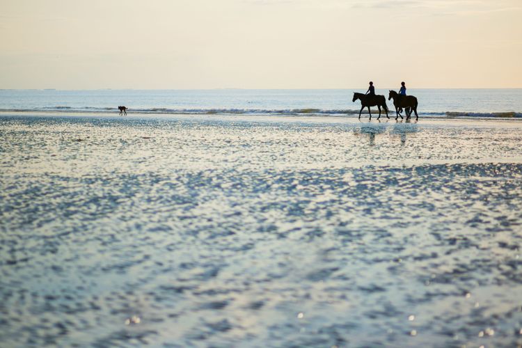 Strand von Deauville, Sonnenschirme und Kino