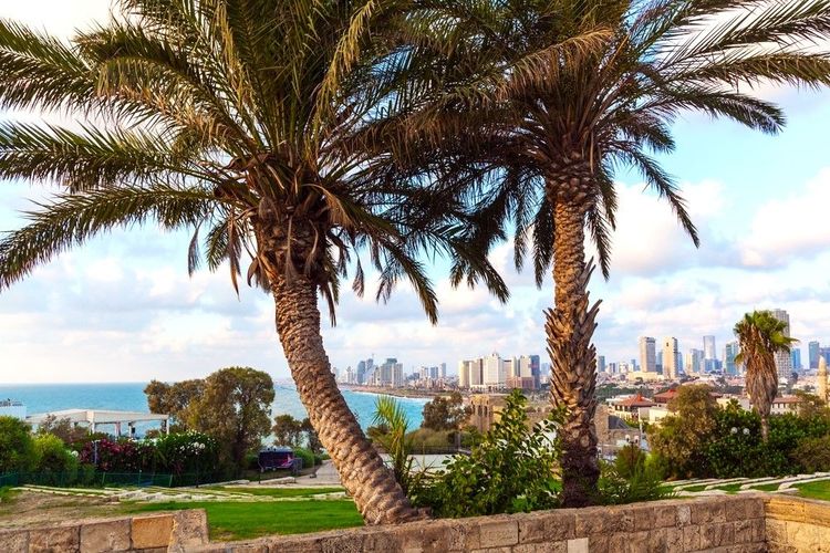 Le jardin d'Abrasha (ou jardin de Pisgah) dans le Vieux Jaffa avec vue sur Tel-Aviv