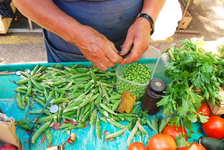 Sur le Pazar, un maraicher prépare des petits pois