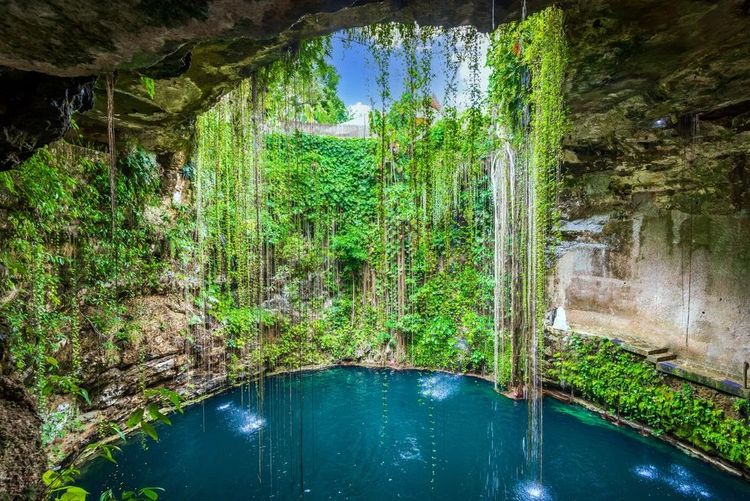 Un cénote dans le Yucatan