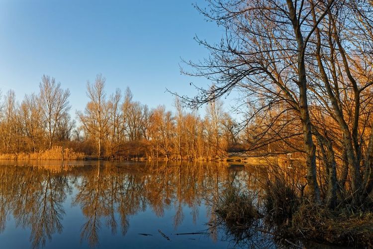 Parc de Miribel-Jonage