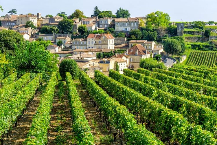 Le vignoble et le village de Saint-Emilion.