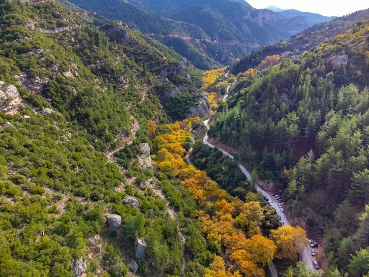 La gorge de Vouraikos près de Kalavrita en Grèce.