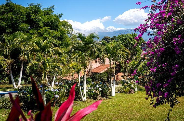 La plantation de café Espiritu Santo et sa superbe végétation à Alajuela.