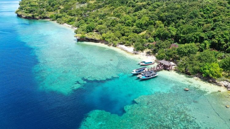 Menjangan, Bali