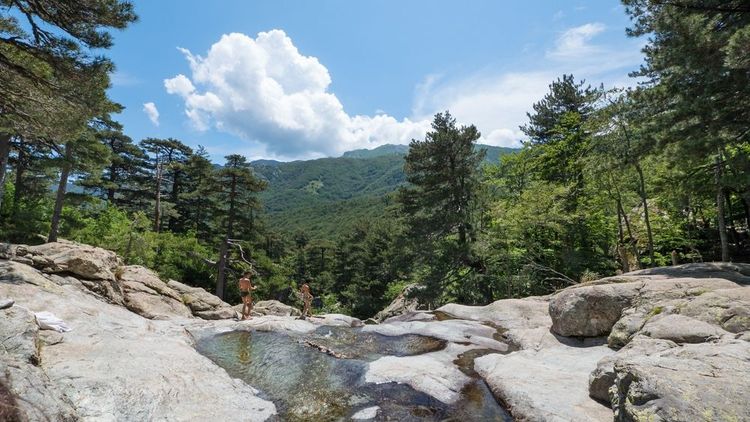 La forêt de Vizzavona en Corse