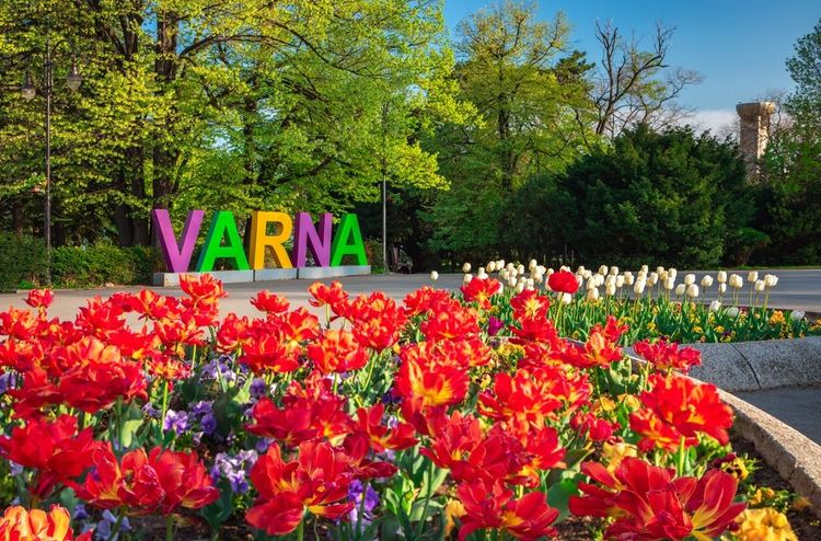 Explosion de couleur au jardin maritime de Varna