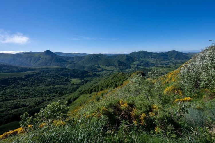 Paysage naturel dans le Cantal