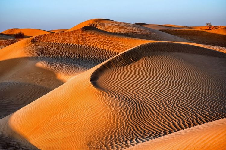 Rub'al Khali