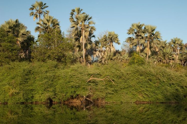 Région de Tambacouda, Sénégal