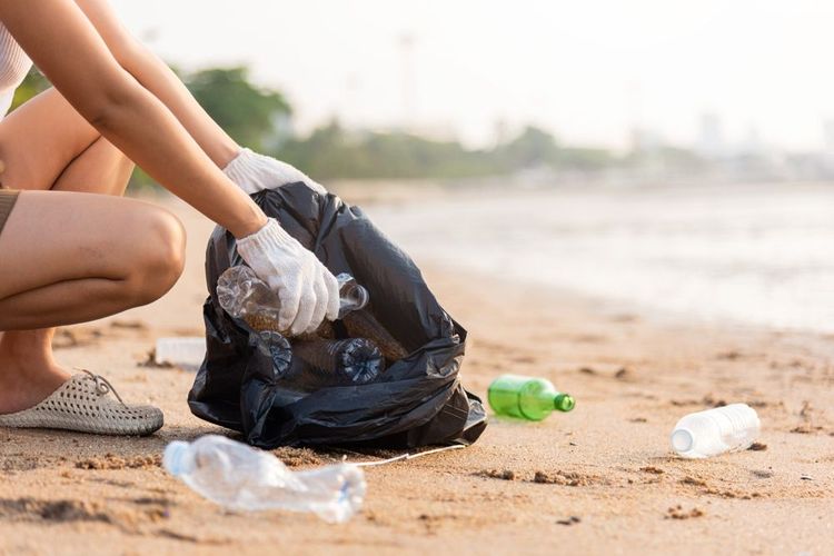 Collecte de déchets sur la plage.