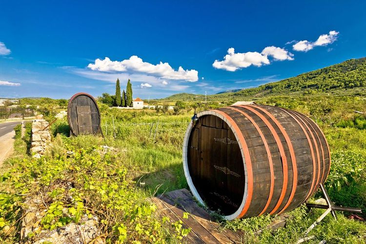 Vignobles à Stari Grad, Hvar