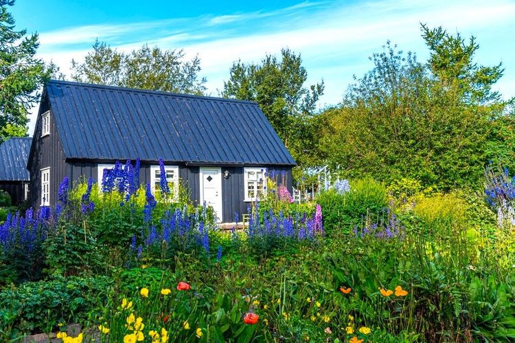 Végétations verdoyantes du jardin botanique d'Akureyri