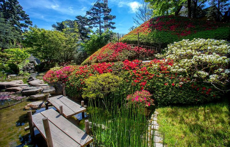 Une des buttes fleuries du jardin floral et le petit lac