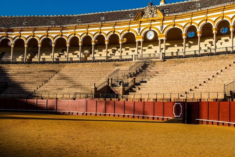 Découvrez l'art et les traditions de la tauromachie avec la visite des Arènes de la Maestranza