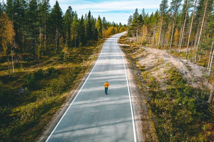 Une route dans les bois, en Finlande
