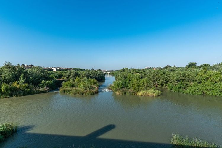 Rivière Guadalquivir avec moulins à Cordoue, Andalousie