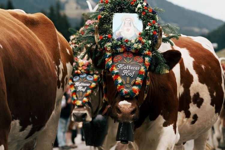  événement culturel à Zillertal, Tirol, Autriche