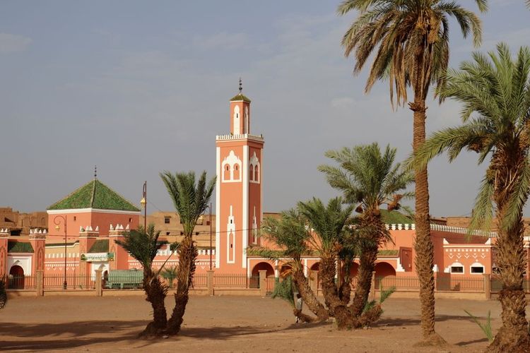 Bibliothèque et mosquée de Tamegroute, monument aux livres anciens