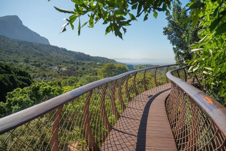 Kirstenbosch Centenary, Afrique du Sud