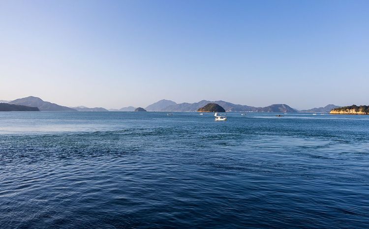 L'île d'Okunoshima appelée l'île Rabbit , mer de Seto, Japon.
