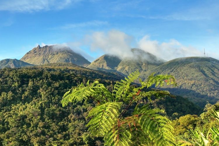 Volcan de la Soufrière en Guadeloupe