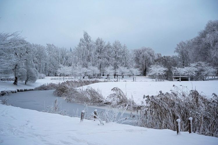 Le canal en hiver