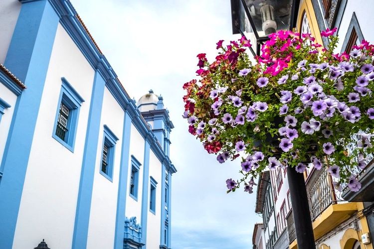 L'église de la Miséricorde d'Angra do Heroismo