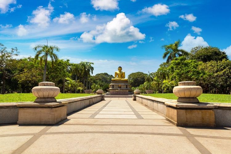 Visit Viharamahadevi Park in Colombo: relax in the shade of the trees