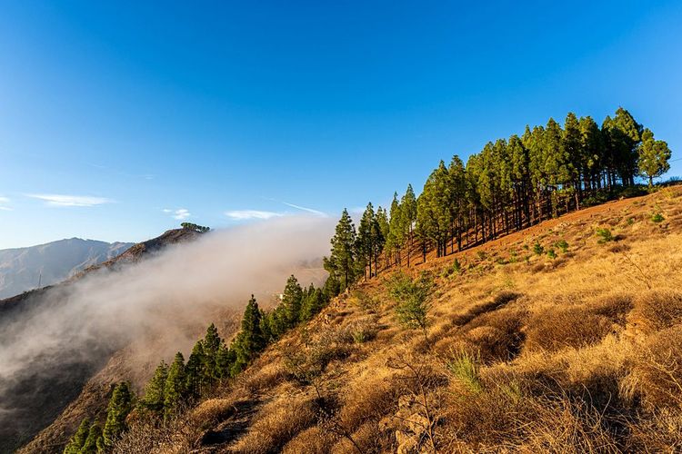 Là où les nuages grimpent sur la montagne