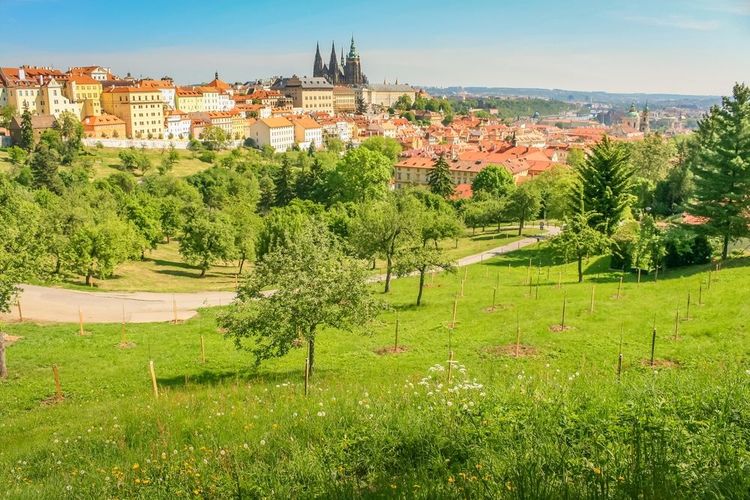 Le parc et la ville de Prague en fond