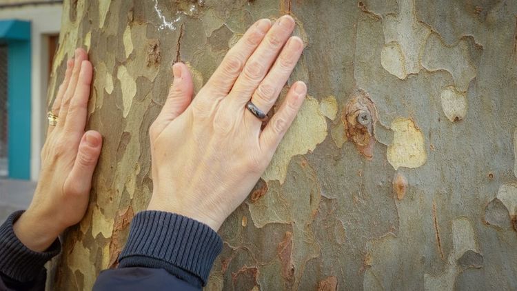 Le contact avec la nature réduit le stress.