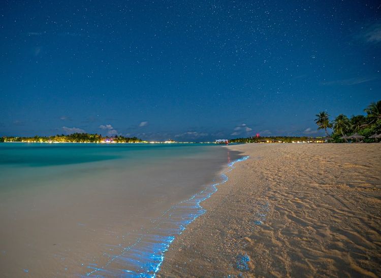 Plage bioluminescente, Maldives