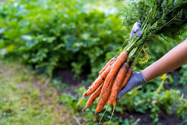 Consommer local, une clef de l'éco-responsabilité