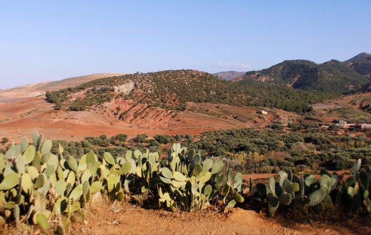 Les Terres d'Amanar, les collines au pied de l'Atlas