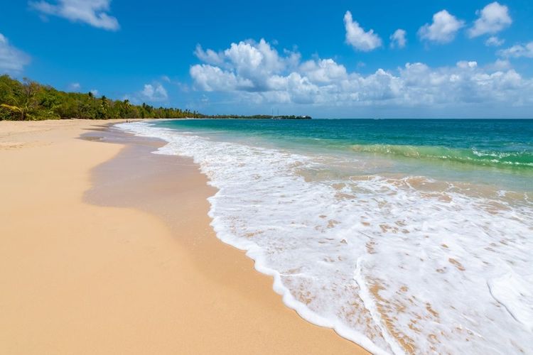 Grand Anse de Salines en Martinique