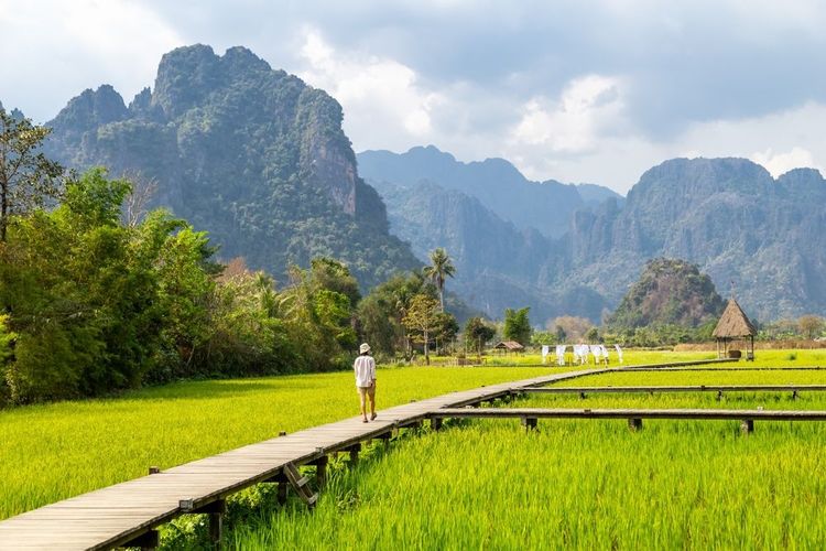 Les rizières au Laos.