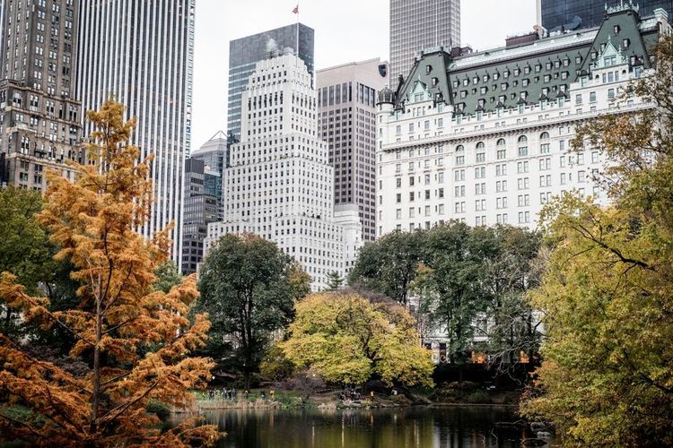 New York City Central Park