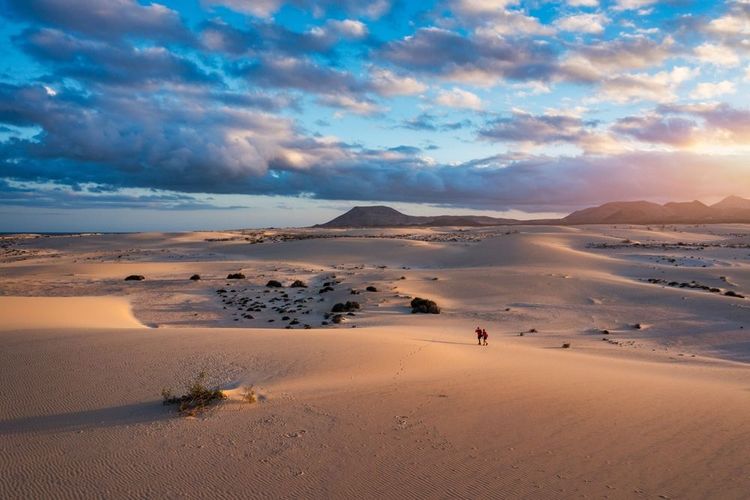 Dunes de Corralejo