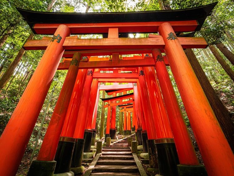 Variante dans l'utilisation des torii orangés
