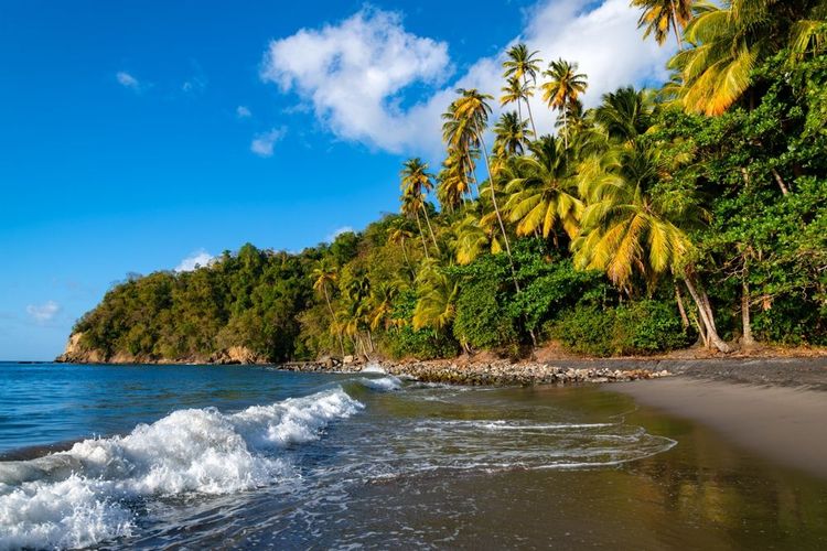 Martinique, mer des Caraïbes (France)